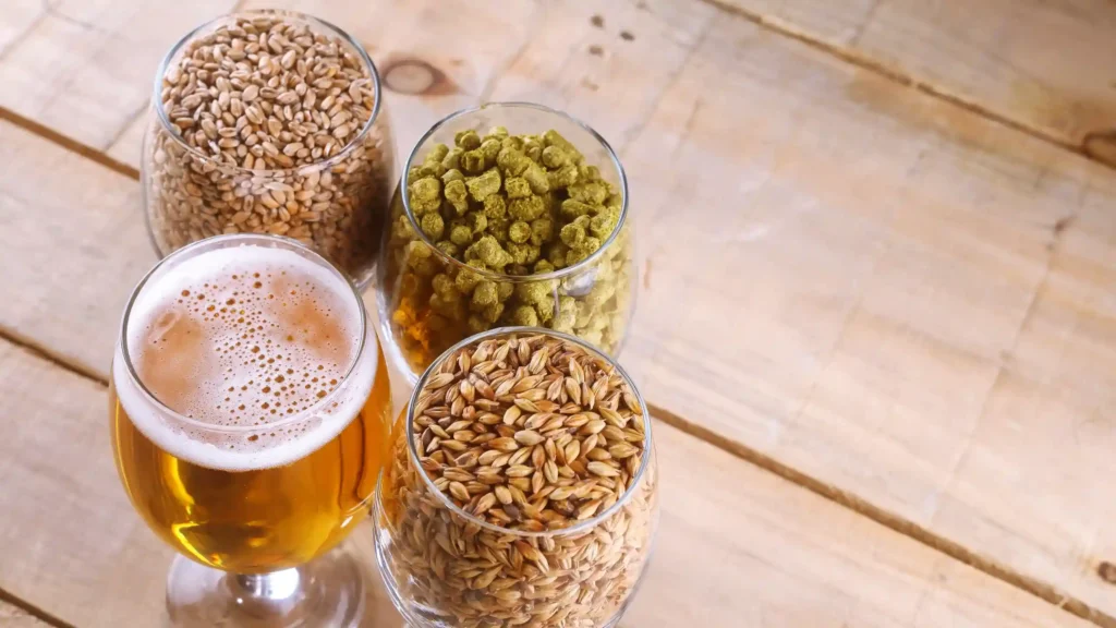Insumos Cerveza Artesanal